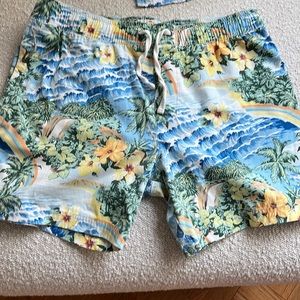 Sold Out! Marine Layer Mahalo Swim Trunk (Medium)